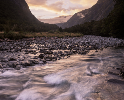 monkey-creek-fiordland-national-park