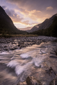 monkey-creek-fiordland-national-park