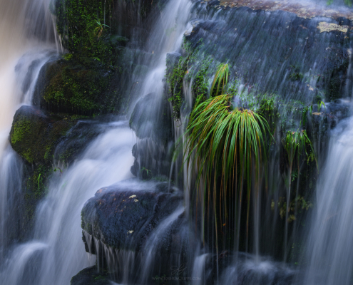 McLean Falls, New Zealand, May 12th, 2015