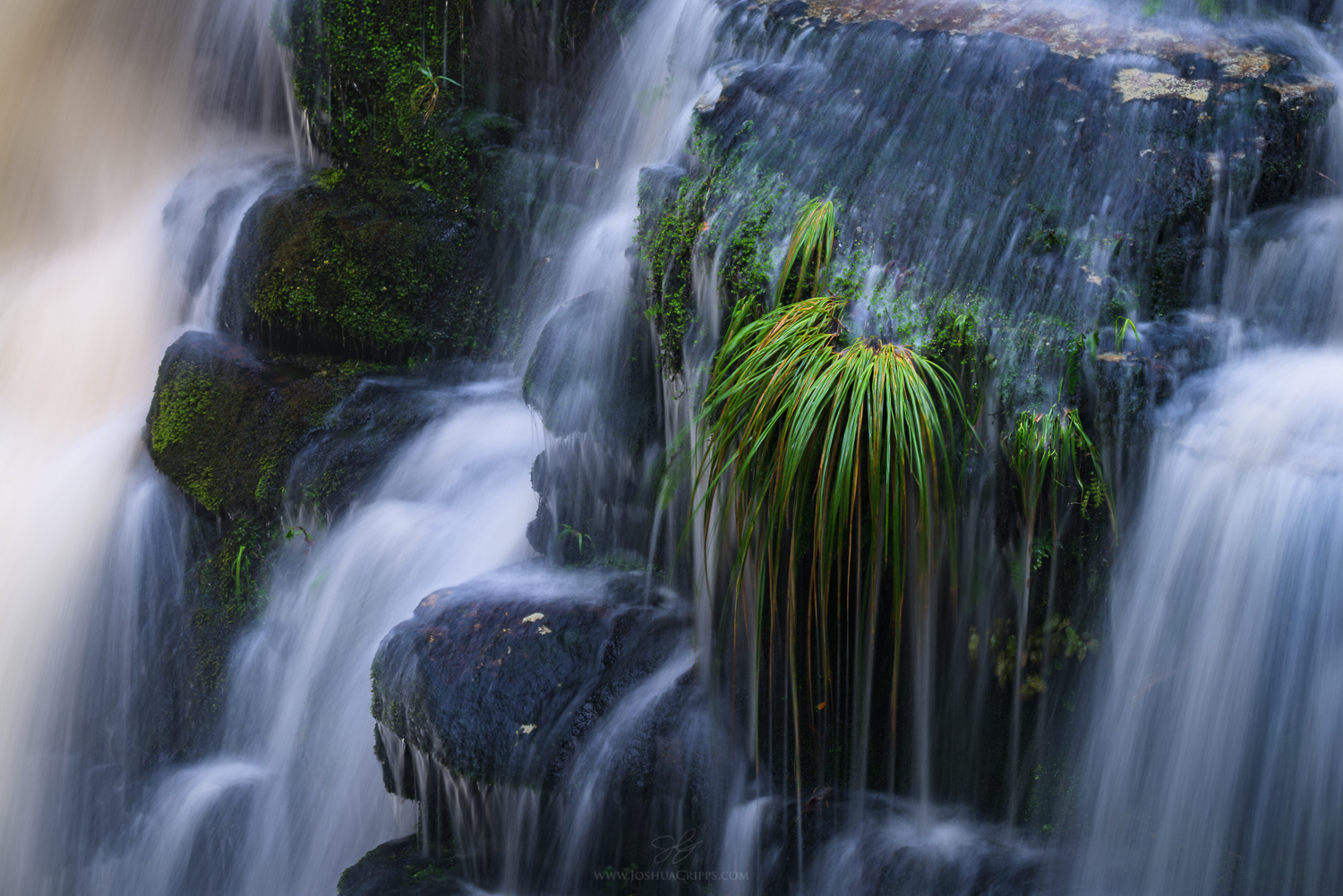 New-Zealand-Catlins-McLean-Falls-detail McLean Falls, New Zealand, May 12th, 2015