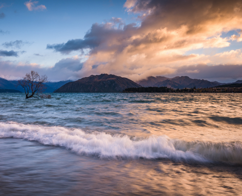 New-Zealand-Lake-Wanaka-tree-sunrise