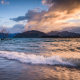 New-Zealand-Lake-Wanaka-tree-sunrise