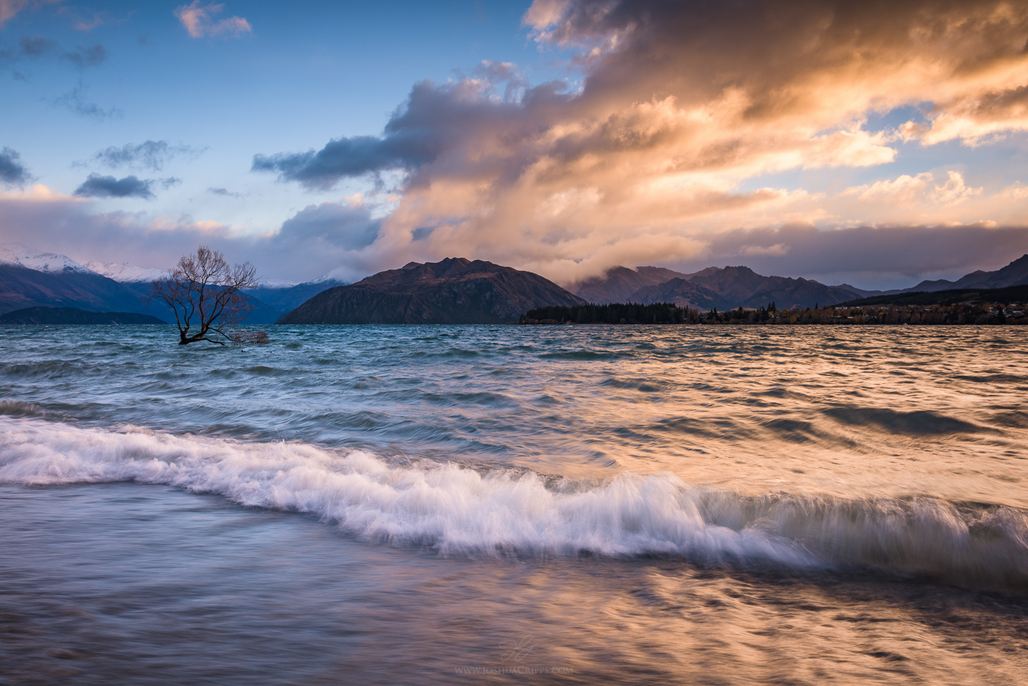 New-Zealand-Lake-Wanaka-tree-sunrise