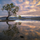New-Zealand-Wanaka-Willow-sunrise