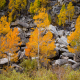 Bishop Creek, Sierra Nevada, California, November 29th, 2015