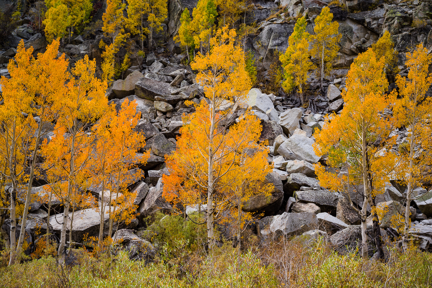 Bishop Creek, Sierra Nevada, Bishop Creek, Sierra Nevada, California, November 29th, 2015
