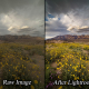 Lightroom: Intelligent & Professional Landscape Photo Raw Processing