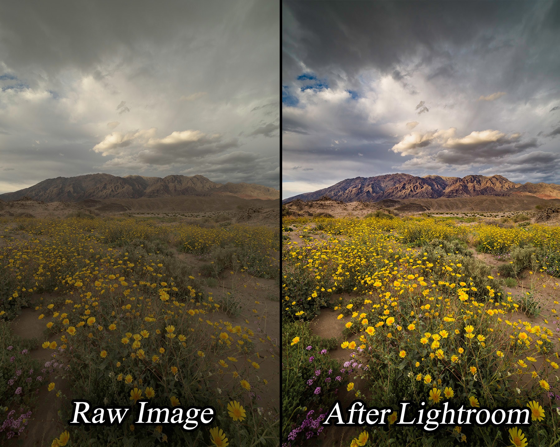 Lightroom: Intelligent & Professional Landscape Photo Raw Processing