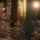 How to create a sunstar in your photos