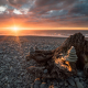 Vital Filters for Landscape Photography