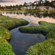marie-lakes-ansel-adams-wilderness