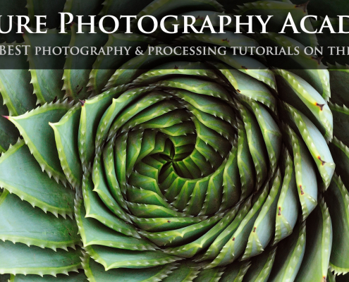 The Nature Photography Academy Announcement