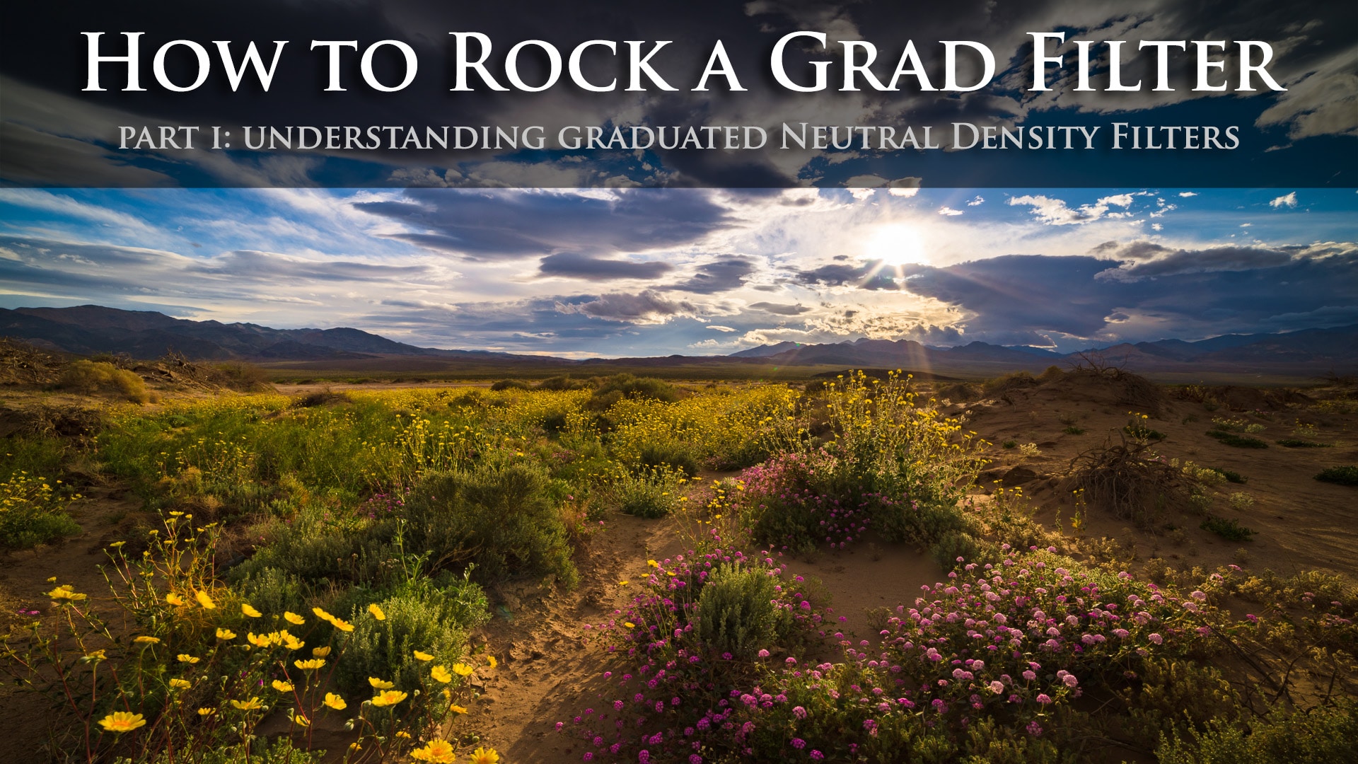 how to rock a grad filter, title image