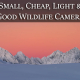 wildlife camera feature image