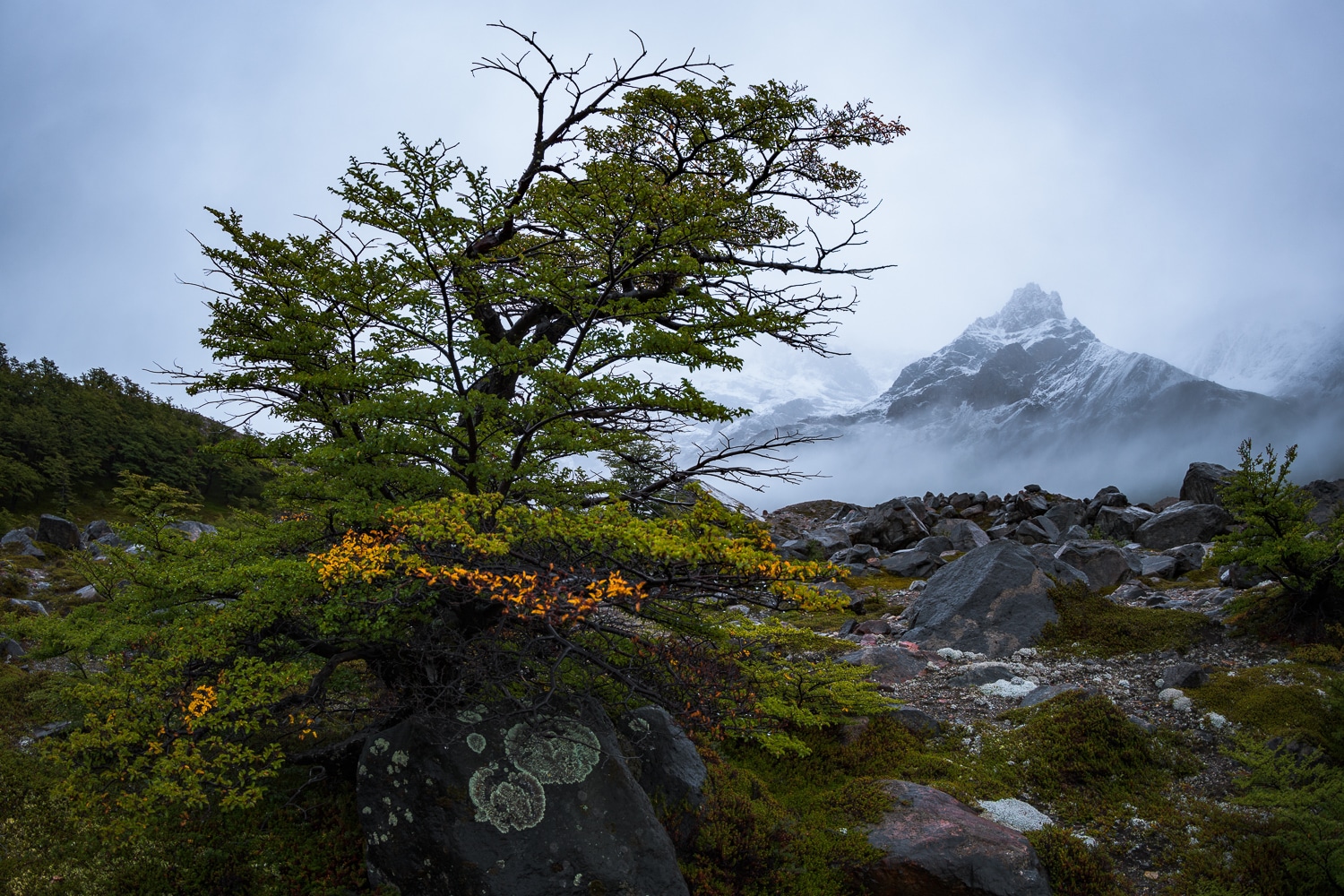 Misty morning at Laguna Torre, Los Glaciares National Park, Nikon Nikkor 8-15mm Fisheye Sample Photos