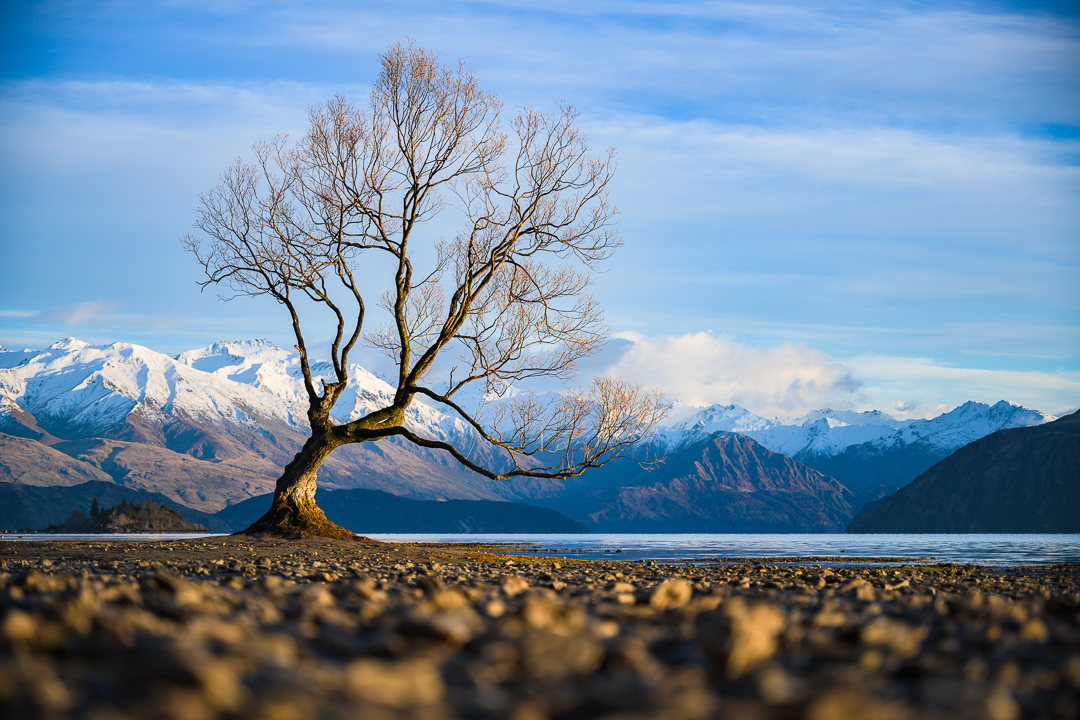 New Zealand Photography Tour Milford Sound, Aoraki, & more