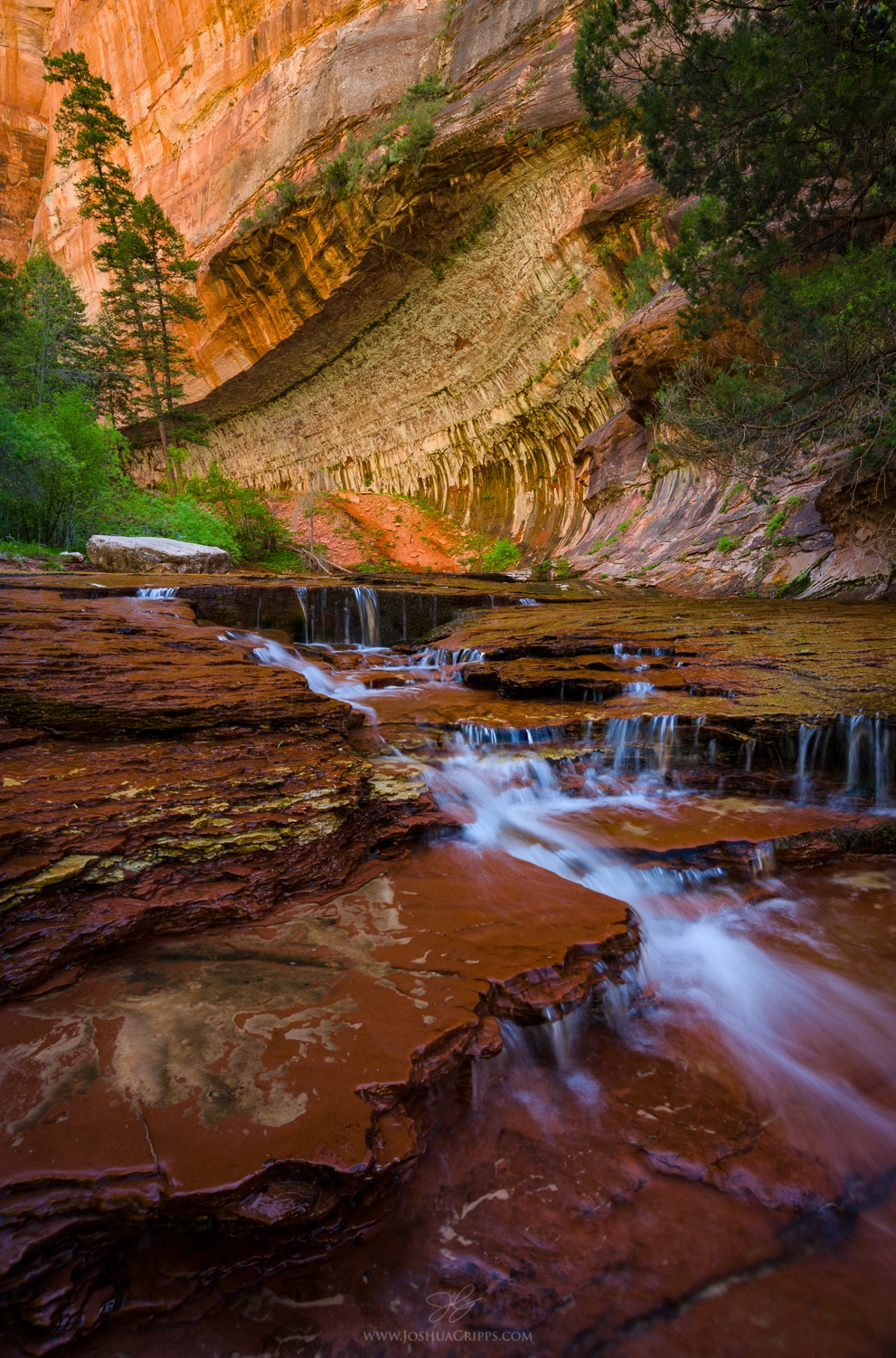 archangel-cascades-subway-zion