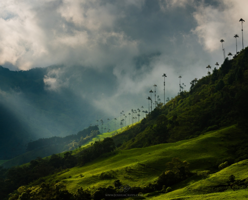 cocora-valley-wax-palm-thunderstorm