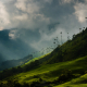 cocora-valley-wax-palm-thunderstorm