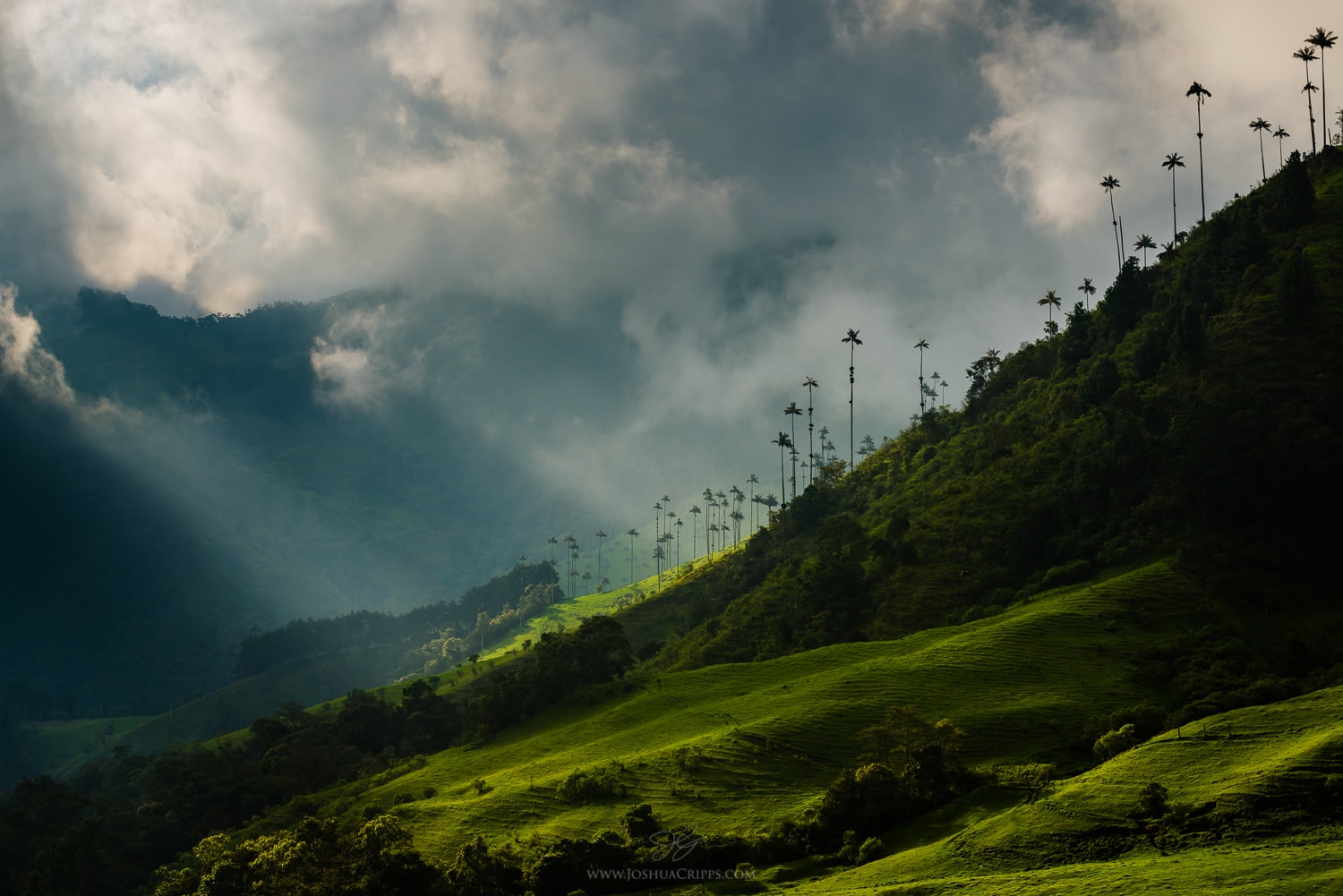 cocora-valley-wax-palm-thunderstorm cocora-valley-wax-palm-thunderstorm