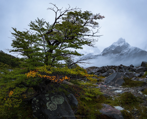 los-glaciares-national-park-laguna-torre