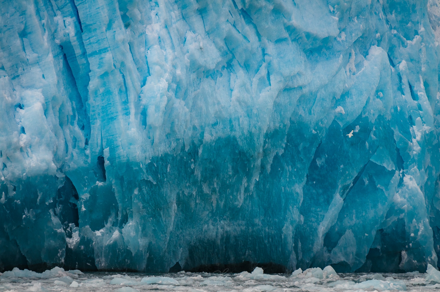 aialik-glacier-kenai-fjords-alaska