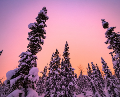 winter-sunset-alaska