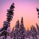 winter-sunset-alaska