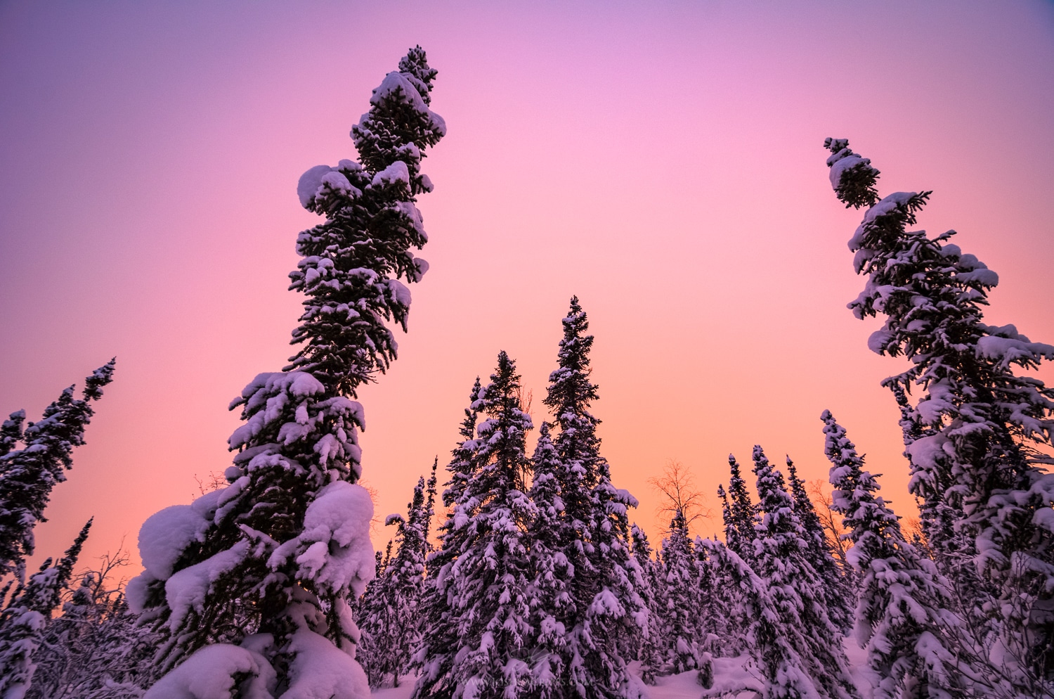 winter-sunset-alaska winter-sunset-alaska