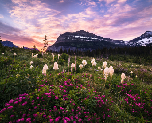 citadel-mountain-glacier-national-park
