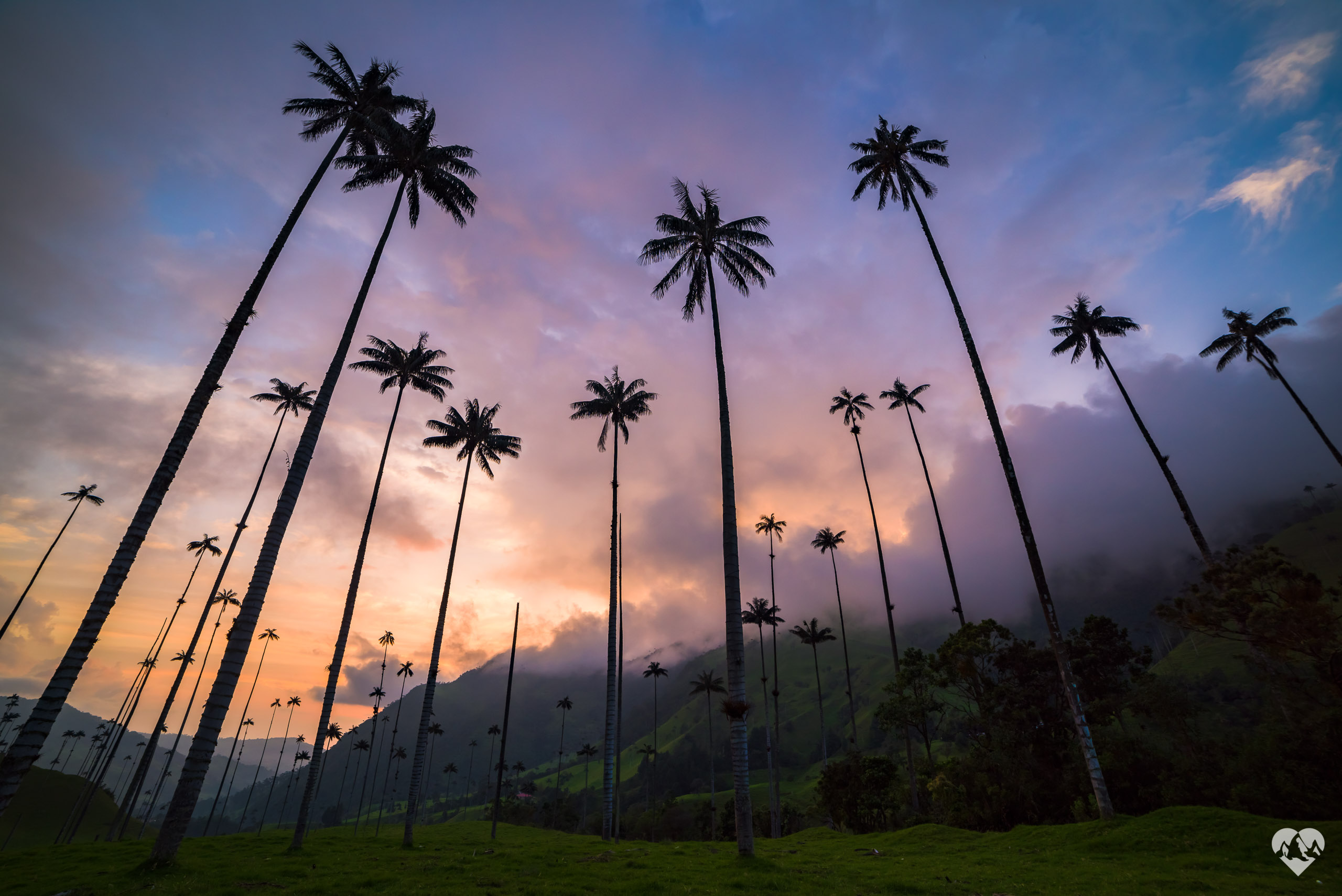 cocora-valley-sunset-wax-palms-colombia