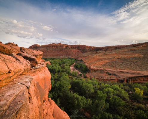 escalante-river-neon-canyon