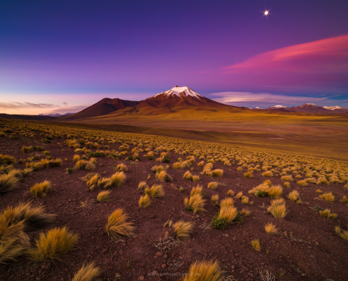 miniques-volcano-atacama-desert-chile