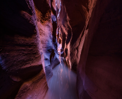 ringtail-canyon-escalante