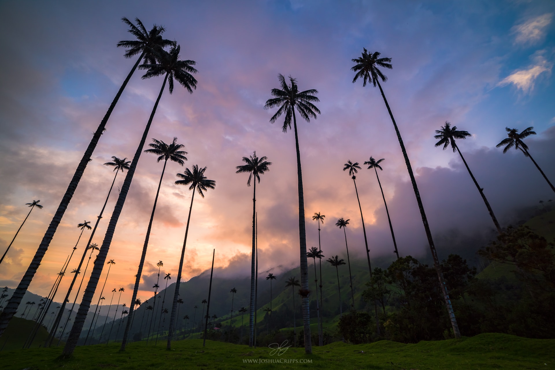 wax-palms-cocora-valley-colombia-sunset