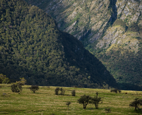 Farmland-West-Matukituki-River-Mt-Aspiring (33)