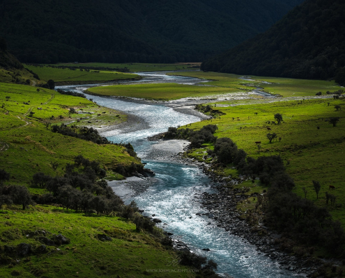 Farmland-West-Matukituki-River-Mt-Aspiring (34)