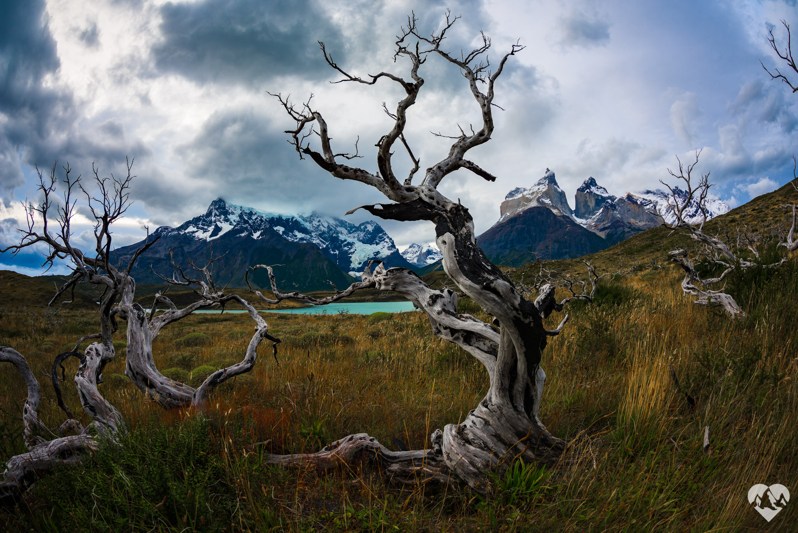 Twists and Turns - Joshua Cripps Photography