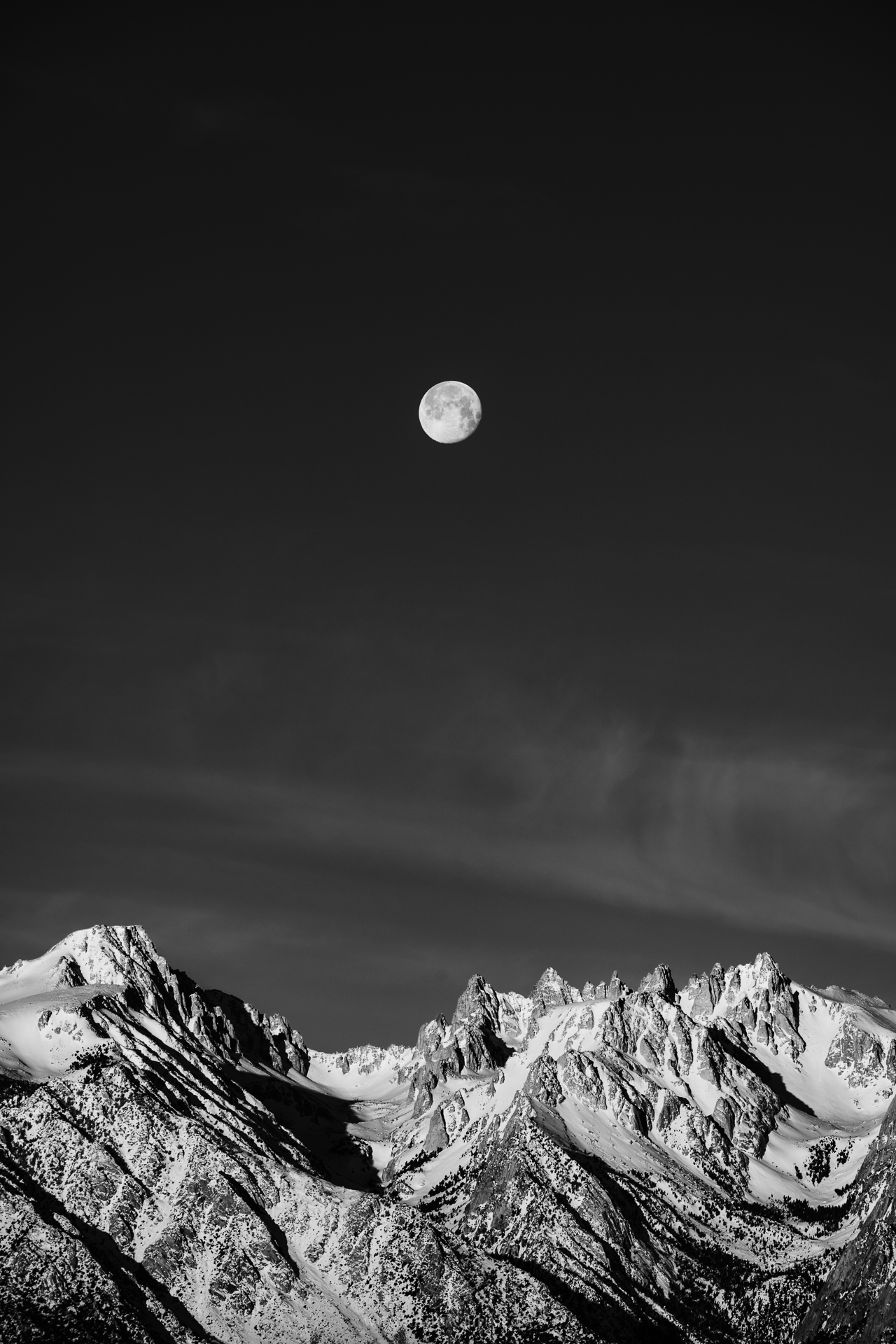 JZ7_3439 web
