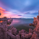 mono-lake-south-tufa-beautiful-sunset