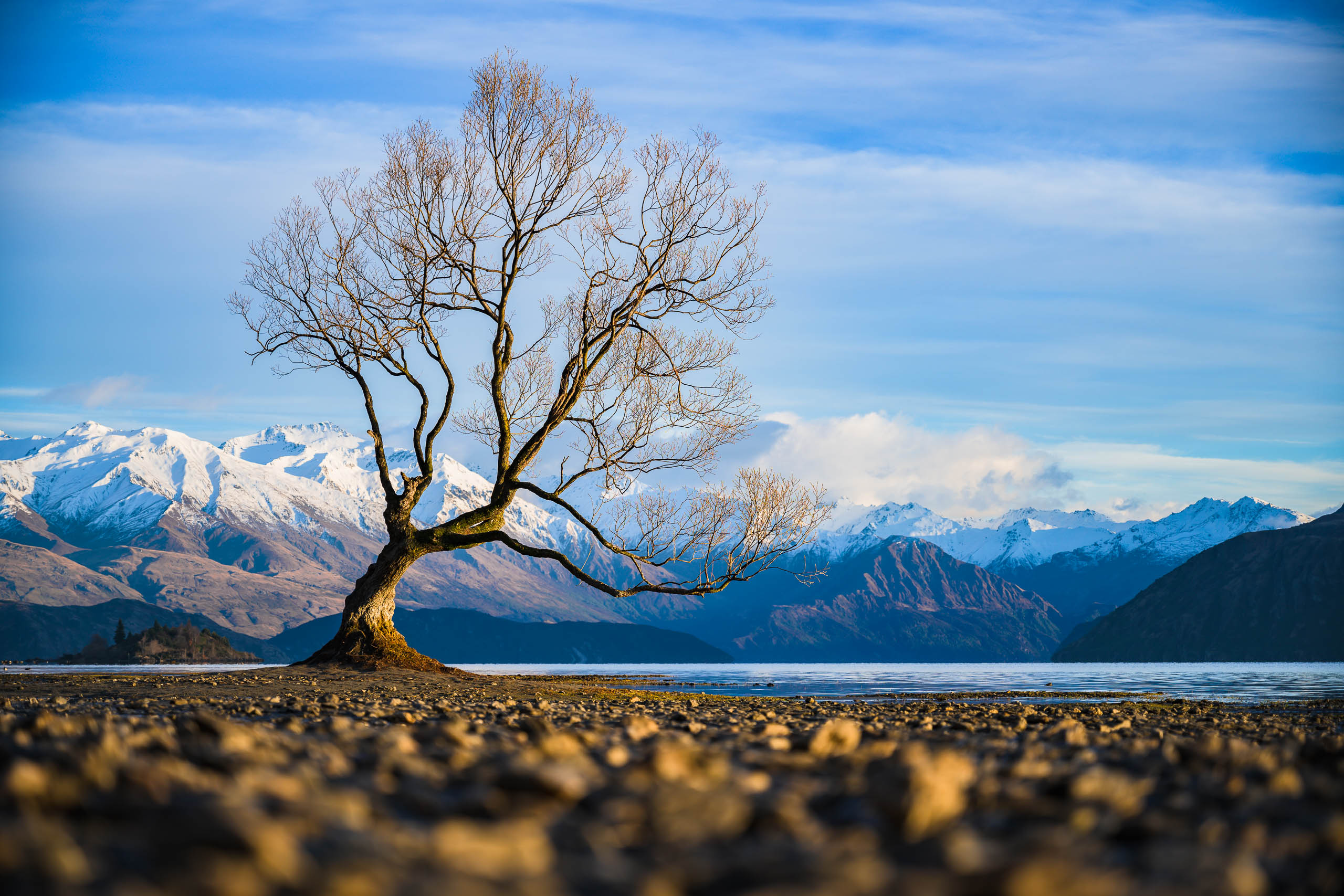 south island tours nz photos