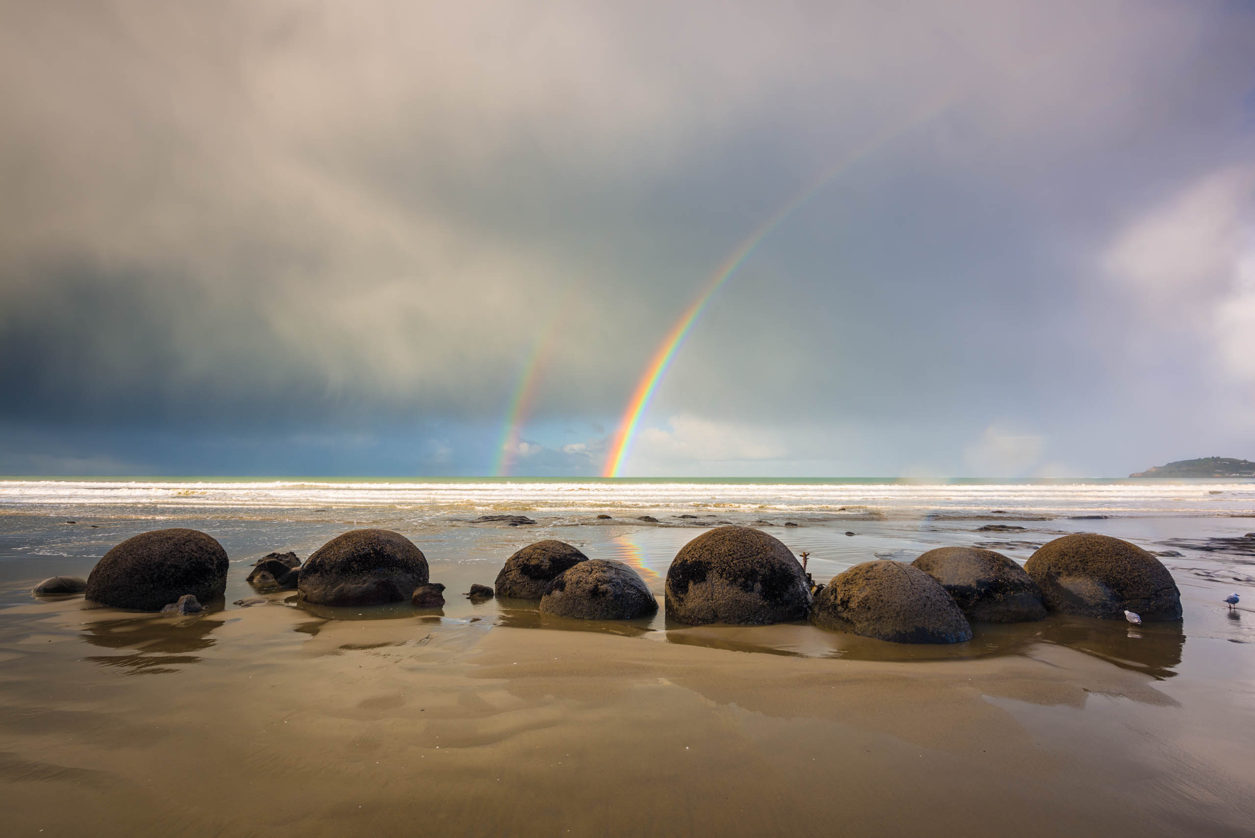 south island tours nz photos