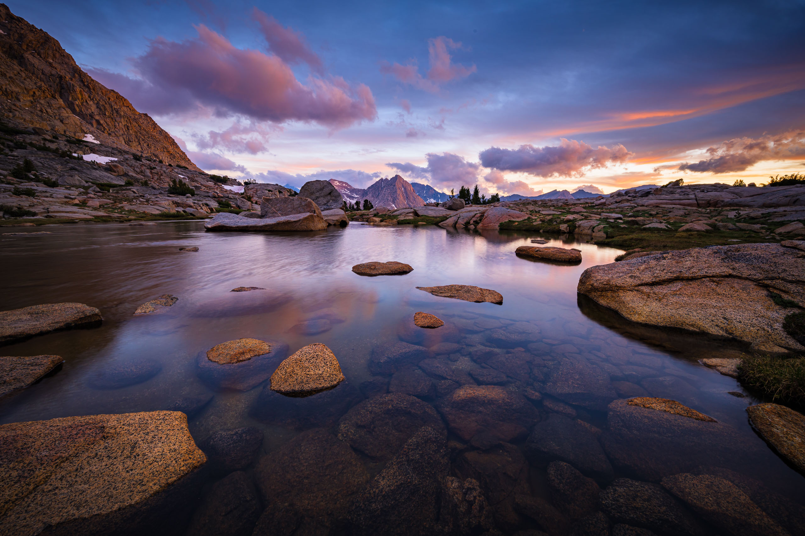 Darwinian Evolution - Joshua Cripps Photography